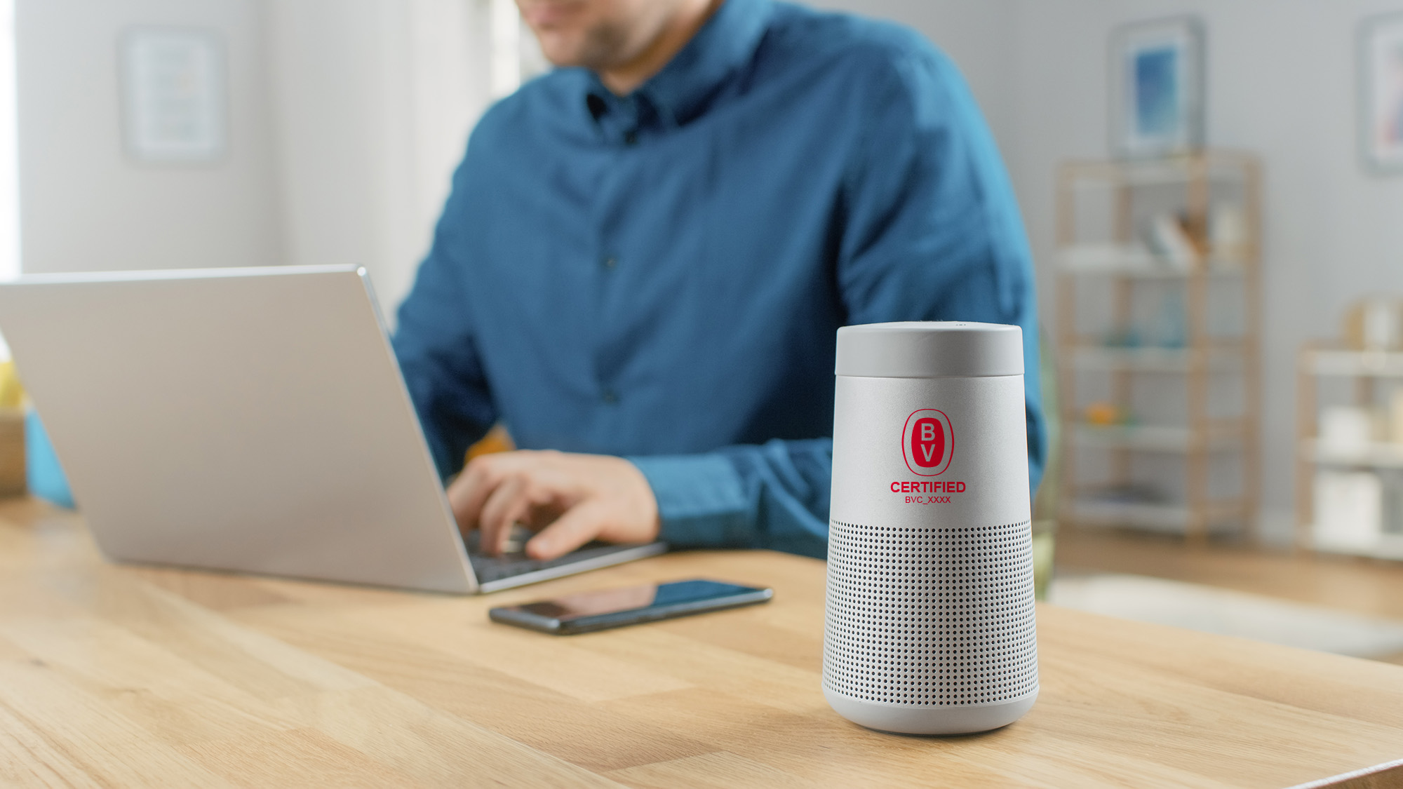 Speaker with BV Certification Mark